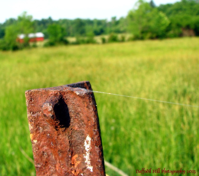 Taken with my now deceased Powershot S3is.