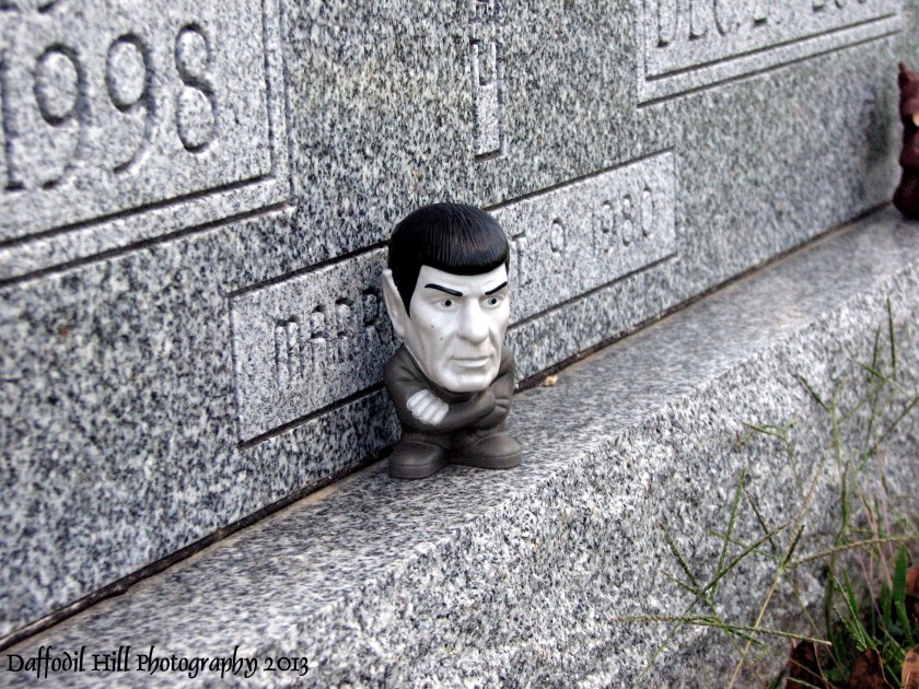 I took this with my deceased ,yet beloved, PowerShot S3is.