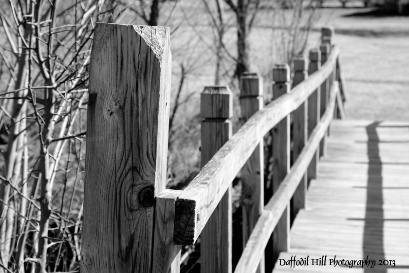 Life has many bridges we must cross. A personal reflection in B&W.