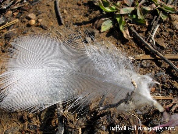 This was taken with my Nikon Coolpix E5600