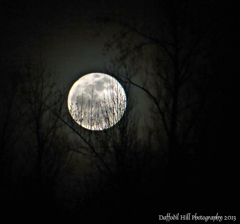I took this with my Canon SX260 on a tripod.