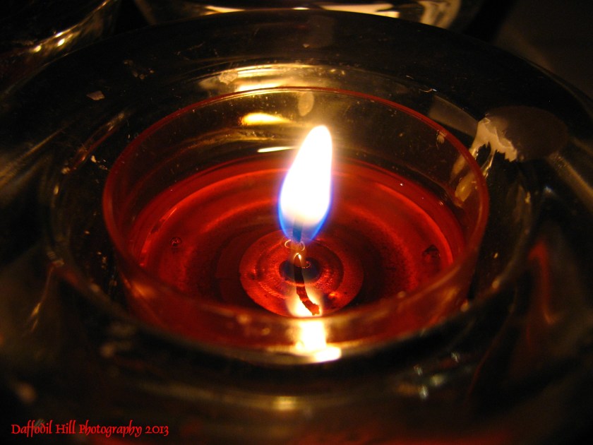 I took this with my now deceased PowerShot S3is.