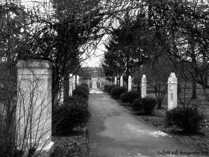 I took this with my PowerShot SX10is on a very grey and inwardly searching type of day.