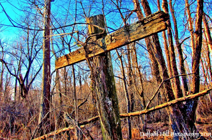 I took the photos for this merge with my PowerShot SX10is.