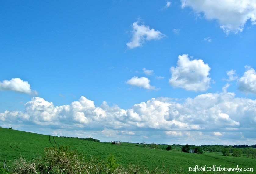 I took this with my now deceased CoolPix 4600