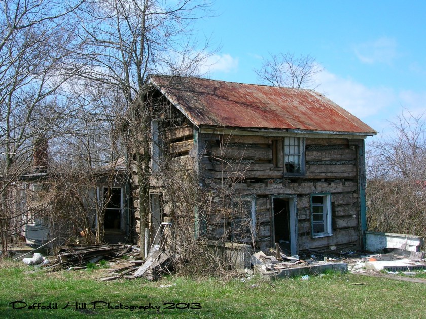 I used my Nikon Cool[pix 5600 for this shot.