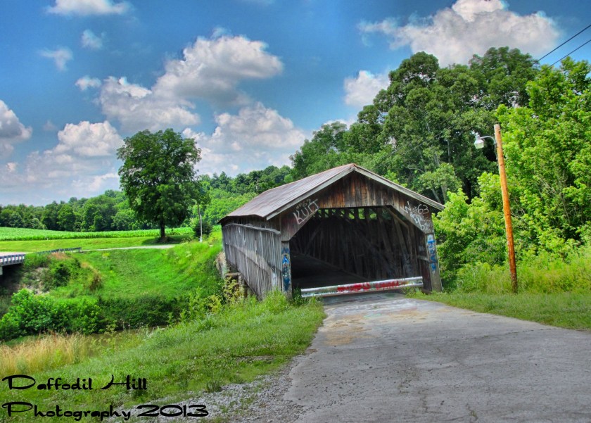 IMG_7479_80_81_82_83_Localtone