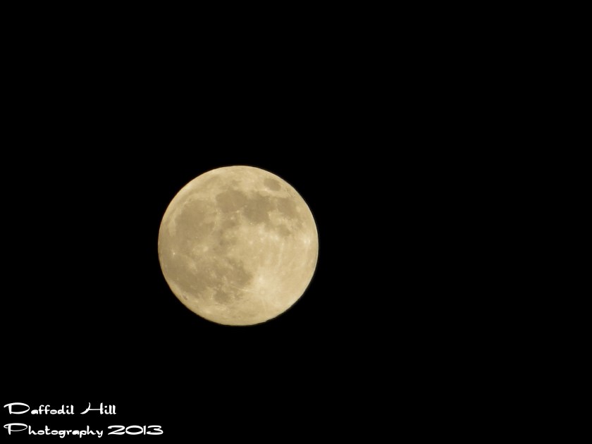 I used my SX260 on Live mode for this hand held shot last night of the Supermoon.