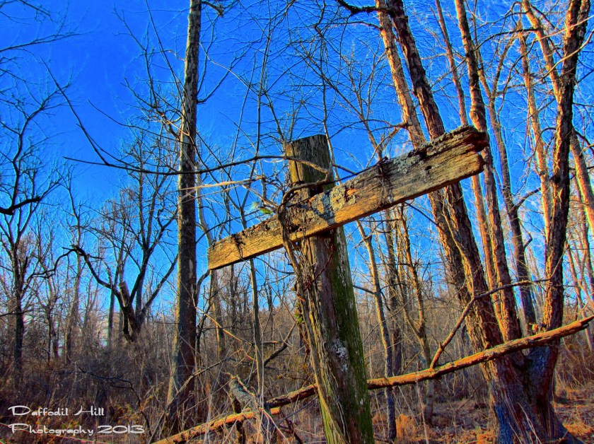 IMG_5696_4_3_5_2_7_Localtone