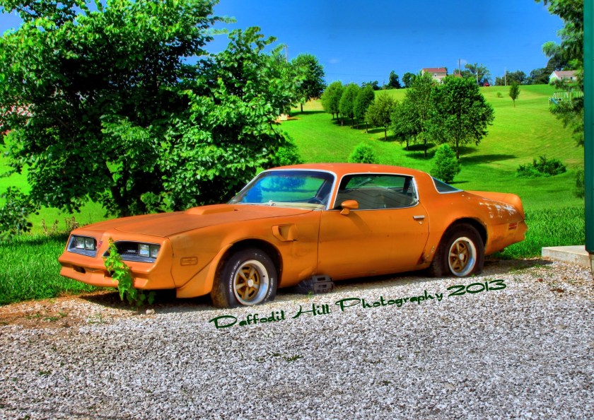 Bold and bright, a glimpse of a new tomorrow maybe?