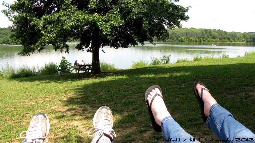 The view from the swing.