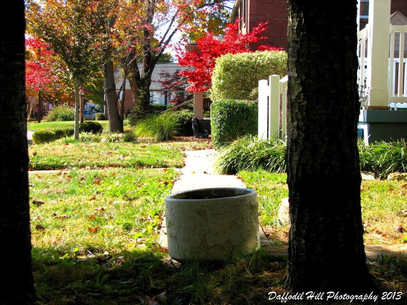 Both photos were taking with the Canon Powershot S3is