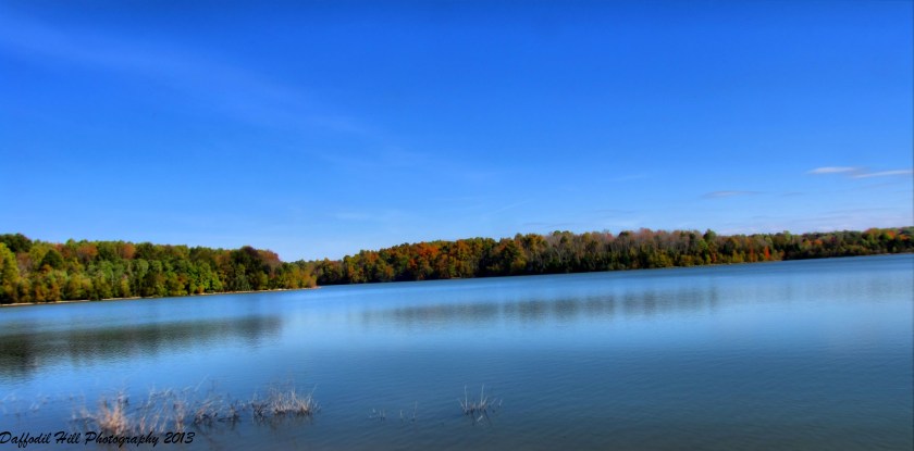 IMG_2312_3_4_5_6_7_8_9_20_Localtone