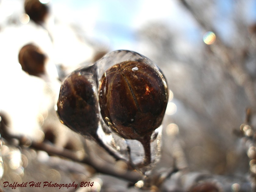 I took this with my Olympus SP-350 point & Shot