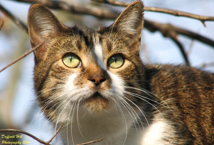 Photo taken with a Canon PowerShot S3is