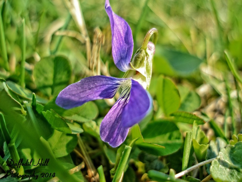 Edited using Perfect Effects 8