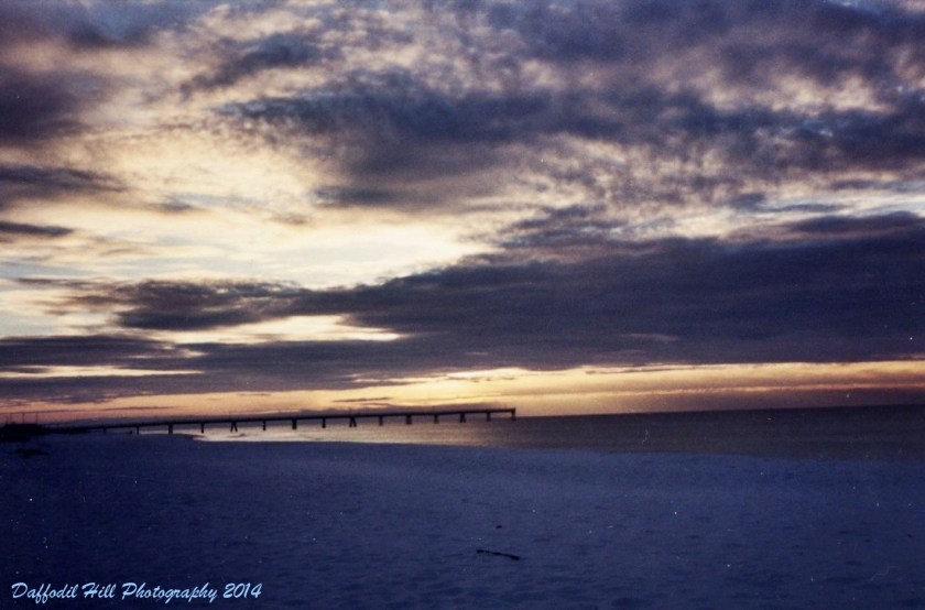 sunday, november 07, 2010 (8)_4-001