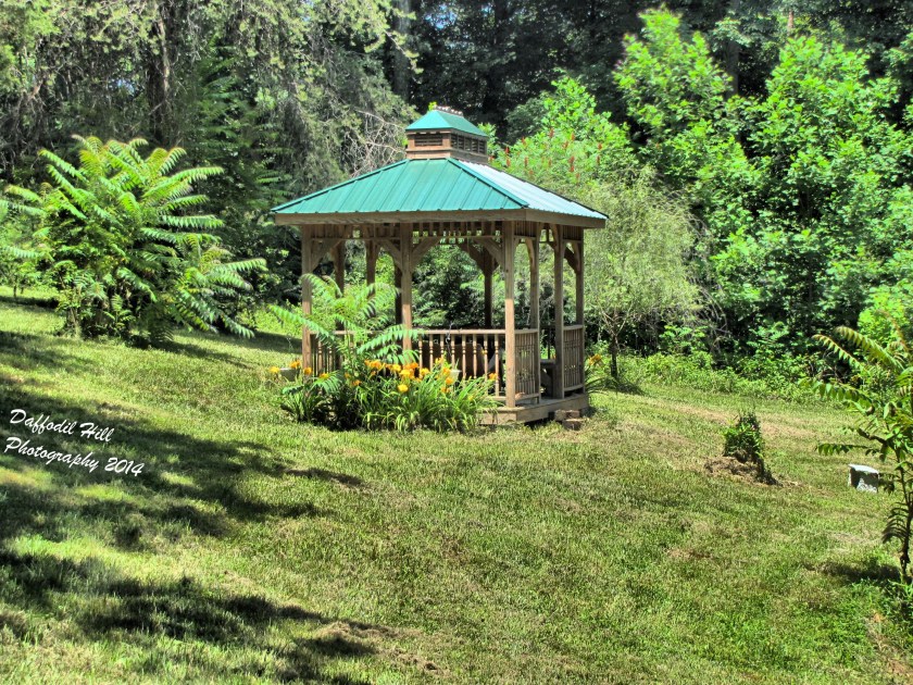 IMG_2305_4_6_Localtone