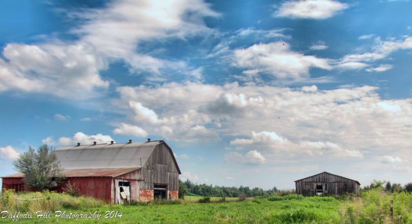 IMG_7751_2_3_4_5_6_7_8_9_Localtone (2) - Copy