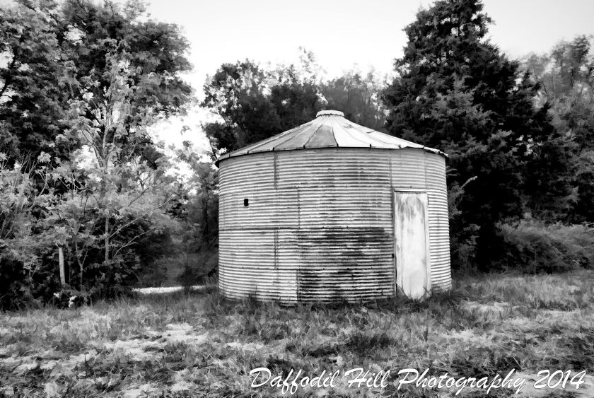 Edited using Topaz Simple 4