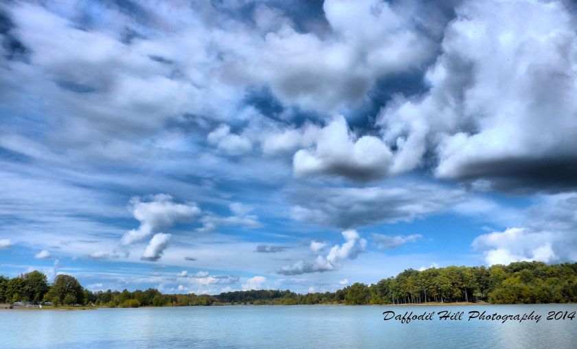 P1020369_8_5_6_7_Localtone