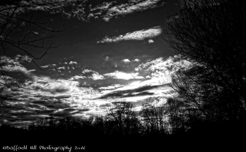 DSC05480 copy - Copy